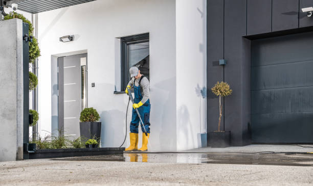 Best Driveway Pressure Washing  in Norway, MI